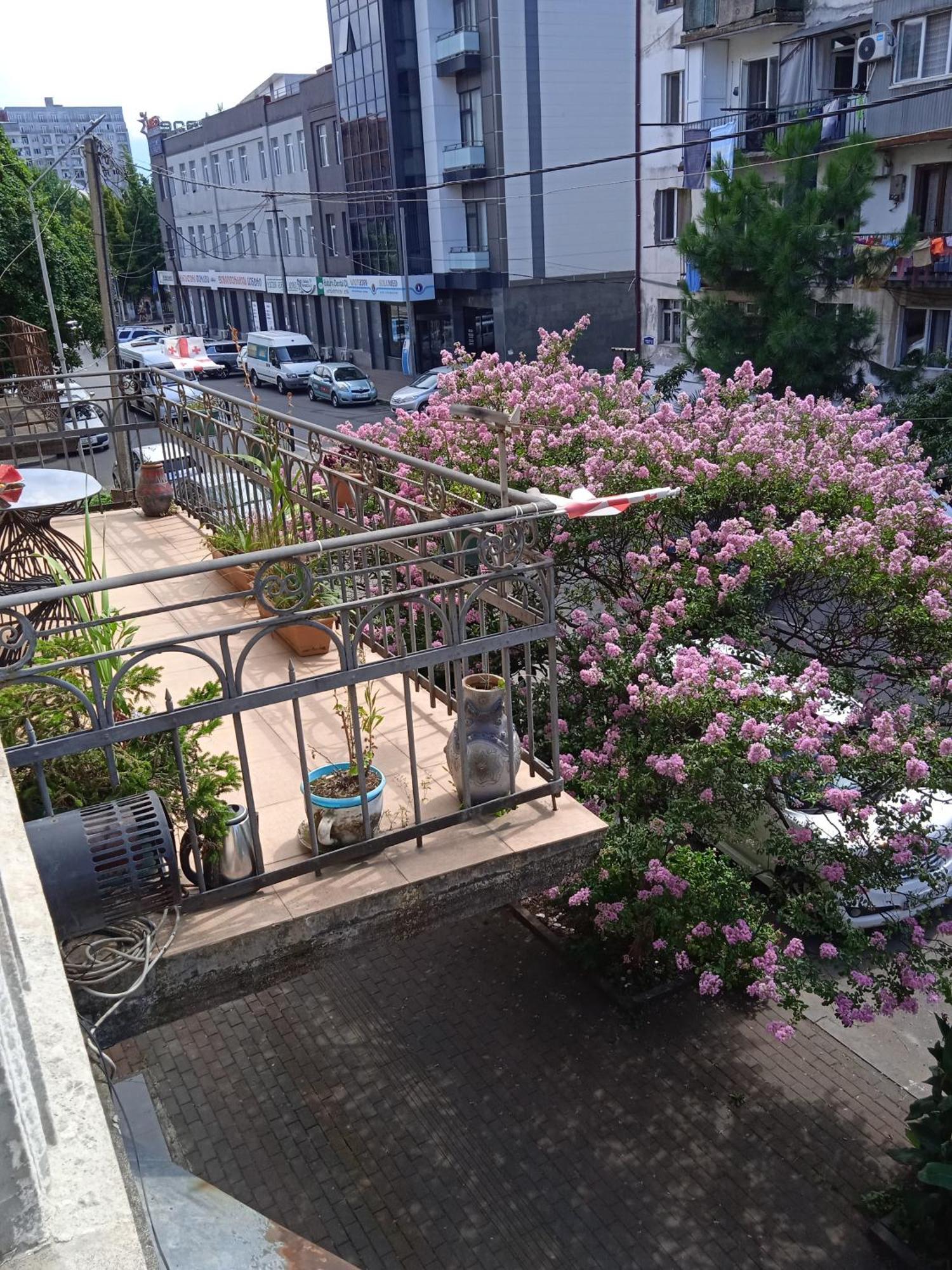 Apartment Maisi Batumi Luaran gambar